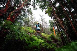 BIB: 
                            <button type="button" onclick="openModal(26202318)" class="btn btn-primary btn-sm float-right btn-popup" data-toggle="modal" data-target=".modal-high-quality">
                        <i class="fas fa-shopping-cart"></i> Add to Cart
                    </button>
                                            <button type="button" onclick="isThisMe(26202318, true)" class="btn btn-success btn-sm float-right btn-popup btn-isme hidden" data-toggle="tooltip" data-placement="bottom" title="นี่คือรูปของคุณใช่ไหม คลิกที่นี่เพื่อเอาเข้าอัลบั้ม">
                        <i class="fas fa-plus"></i> Add to album
                    </button>
                    <button type="button" onclick="isThisMe(26202318, false)" class="btn btn-warning btn-sm float-right btn-popup btn-isnotme hidden">
                        <i class="fas fa-ban"></i> Remove from album
                    </button>